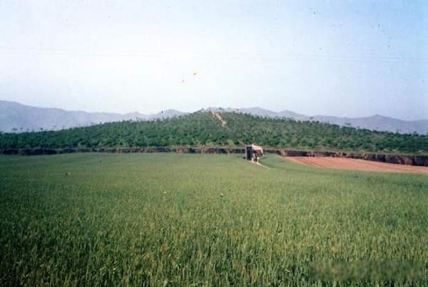 ��ʼ����Ĺ���������� ԭ����Ҫ�м���