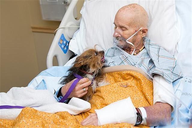 死后的人都去了哪里真相 从科学的角度解释