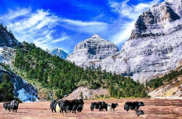 �˷���,�ط���,�취��,������Ȼ��ʲô��˼ ��������ǧ�����