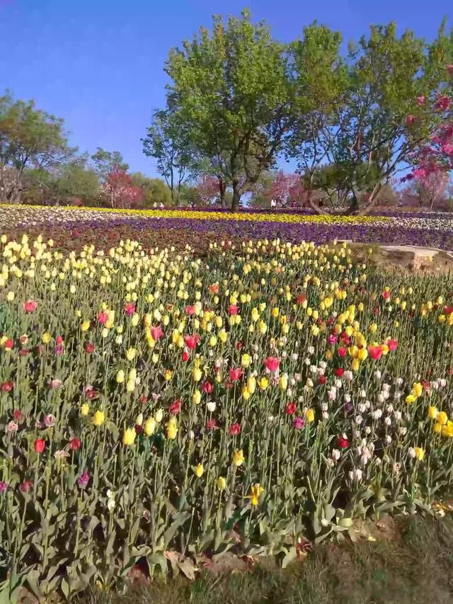 �˷���,�ط���,�취��,������Ȼ��ʲô��˼ ��������ǧ�����