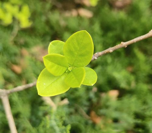 ���˼�ͥ��ʲô��˼ ��鲻Ҫ���ӵļ�ͥ