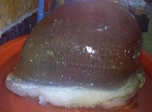 ̫����ʲô���� �����ֱ������Ƕ���