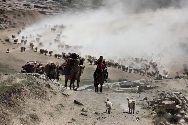 ����һ�Ϊʲô�̿��鲻д �����Ƕ���ʷ�ļ��غ���