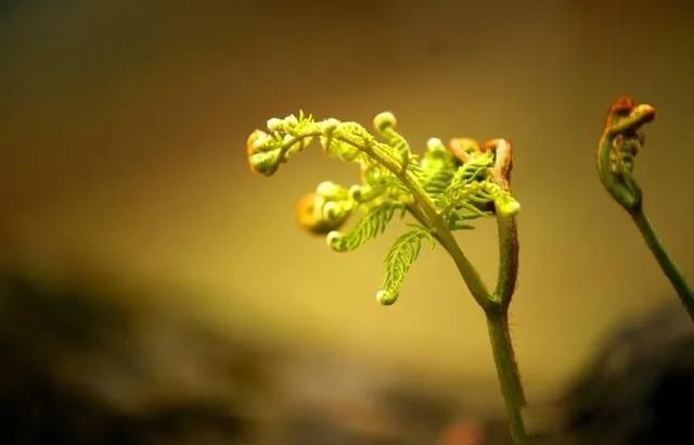 ������˶�ȥ���������� ���ʲ���ת������