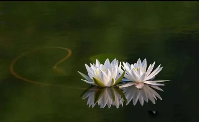 ������˶�ȥ���������� ���ʲ���ת������