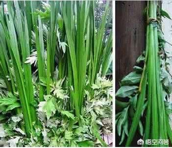 ����ڵ�ϰ�� �����������Щ