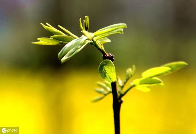 ����һ,һ����,������,������������� �����ӵ�����������