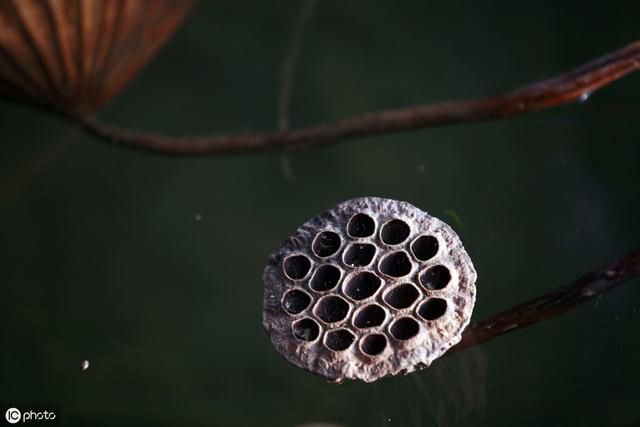 ����һ,һ����,������,������������� �����ӵ�����������