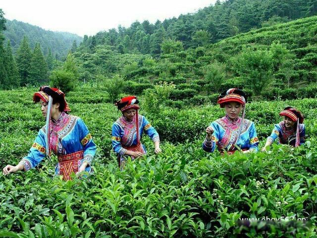 ����һ�������������� ������η�������