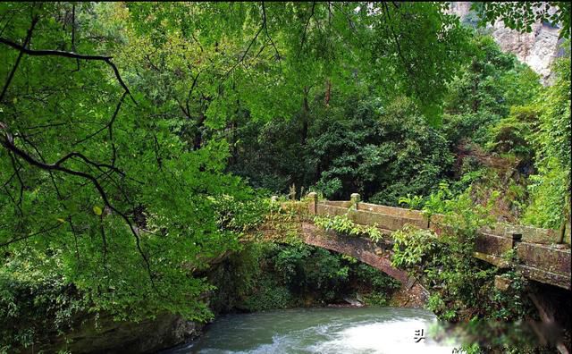 �㵴ɽ�������ĸ�ʡ �о������������