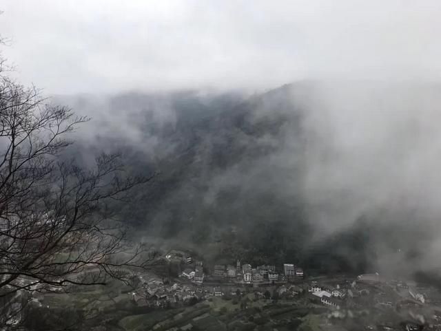 �㵴ɽ�������ĸ�ʡ �о������������