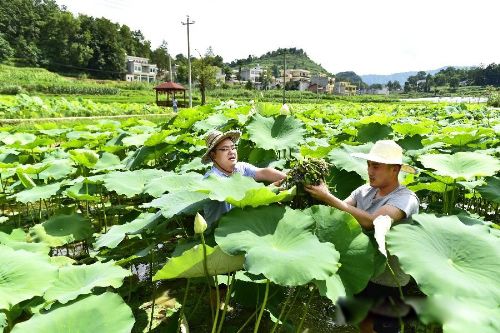 ���˲����Ļ������ֻ� ������滵�ġ�����