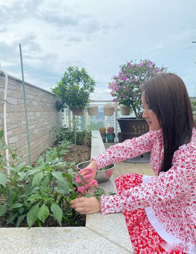 ����ӨΪʲô�иڸ� ��������ֽ������