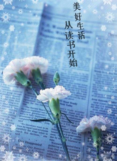 读书无用论产生的原因 很久就有了一点也不奇怪