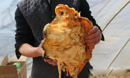 ̫����ʲô���� ��������ʵ��һ������