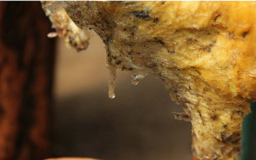 ̫����ʲô���� ��������ʵ��һ������