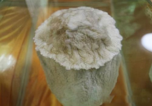 ̫����ʲô���� ��������ʵ��һ������