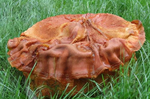 ̫����ʲô���� ��������ʵ��һ������