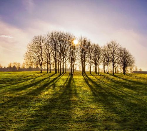 ��Ȥ�����ʲô��˼ Ӧ�þ��������ص�