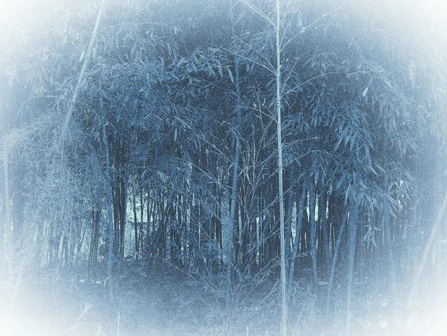 ���ǹ��ϰ����ʵ���� ������Ļ���о���������