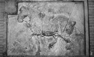 �����ĵ�����ʮ������ ��ʷҰʷ������ϸ����