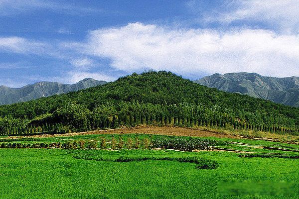 ��ʼ����Ĺ������ ��Ĺ������ʲôλ��