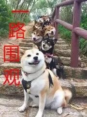�豦��ʲô��˼ ��ָʲô����������Ҫ����