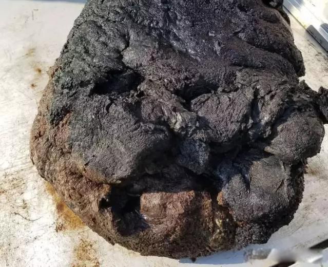 ̫���Ƕ��ﻹ��ֲ�� ̫��ͷ�϶���̫����˭