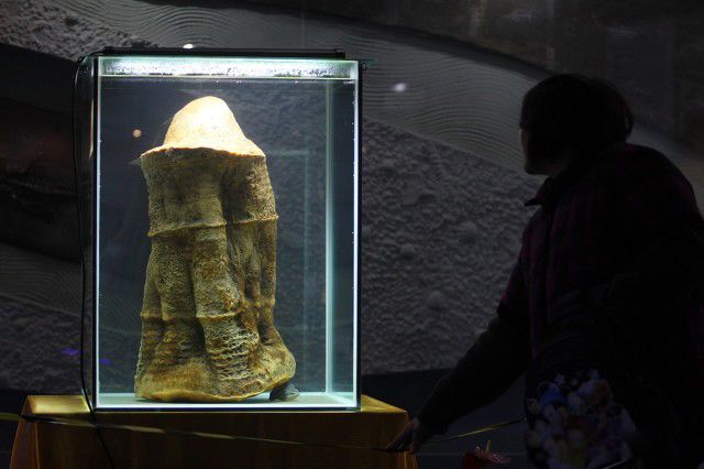 ̫���Ƕ��ﻹ��ֲ�� ̫��ͷ�϶���̫����˭