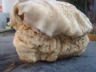 ̫���Ƕ��ﻹ��ֲ�� ̫��ͷ�϶���̫����˭