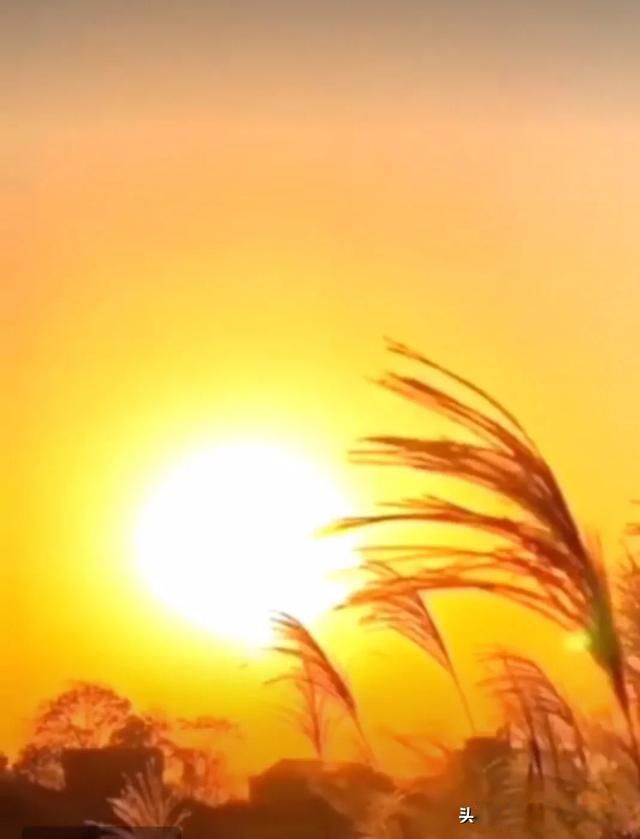 �˷���,�ط���,�취��,������Ȼ ���������ӵ���ѧ˼��
