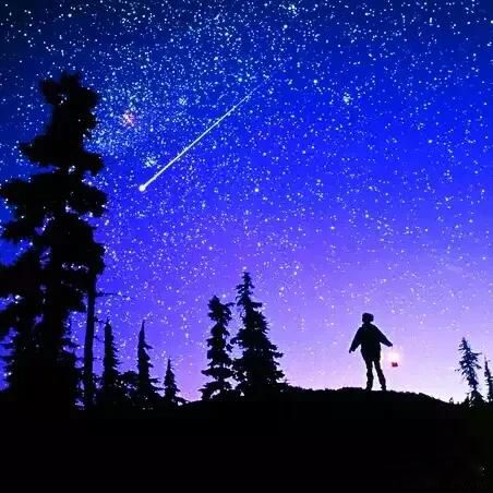 Ԫ���������ʲô��˼ һ�������������һȺ�˳�������