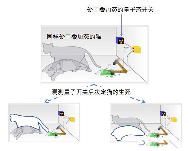 ������ѧ��֤ʵ�����ͺ������� �������󱳺�ı���