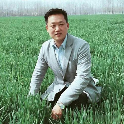 凤凰男是指什么样的人 无良媒体把凤凰男变成了一个贬义词