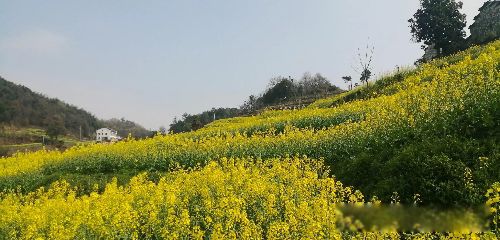 螃蟹女为什么被列入恋爱黑名单 稍有不满就无理取闹