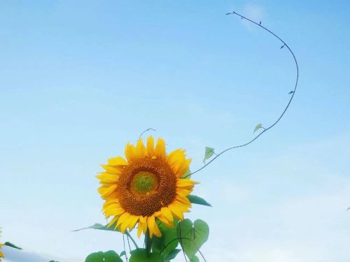 螃蟹女为什么被列入恋爱黑名单 稍有不满就无理取闹