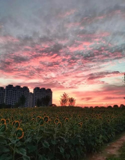 螃蟹女为什么被列入恋爱黑名单 稍有不满就无理取闹