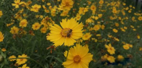 螃蟹女为什么被列入恋爱黑名单 稍有不满就无理取闹