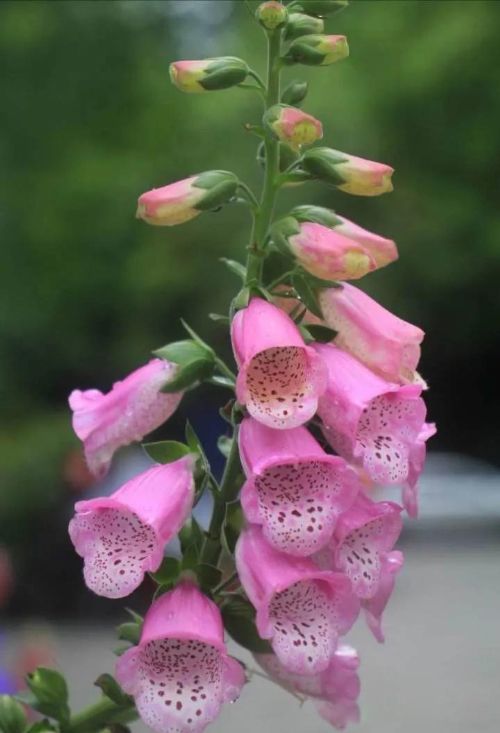 螃蟹女为什么被列入恋爱黑名单 稍有不满就无理取闹