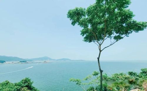 螃蟹女为什么被列入恋爱黑名单 稍有不满就无理取闹