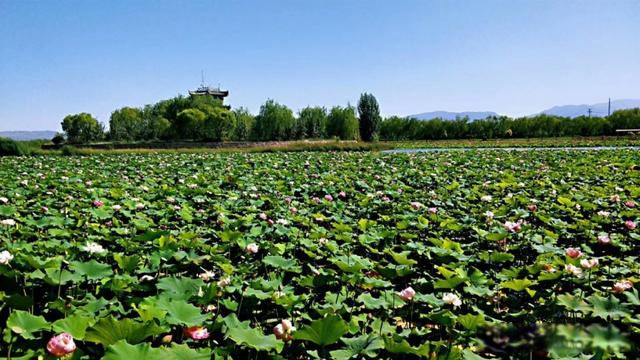 ��������ǰ����������Щ ������һ�̵ġ��عⷵ�ա�