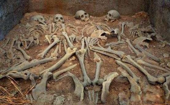 ��������ʲôʱ��ʼ��ȡ�� ��ô������������������