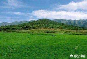 ��ʼ����Ϊʲô������ ���ﱣ������������