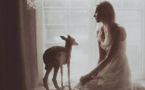 ��Ů�ı��ֺ͵������� ʲô����Ů��ʲô��׼