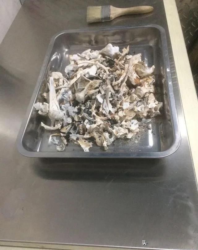 火葬场火化炉里惨叫是为什么 死亡的最终流程是这样的