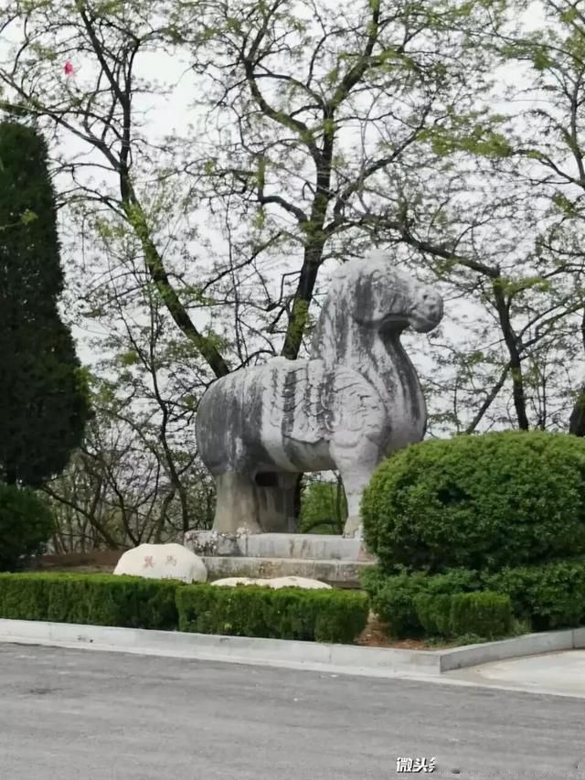 ������ĹΪʲô������ Ǭ���ѡַ����һ������