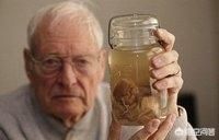 ����˹̹�Ĵ��Ա��г�240�� ������Ƭ�ж���ǧ��