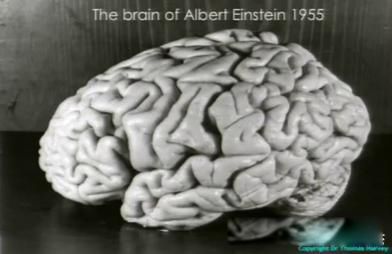 ����˹̹�Ĵ��Ա��г�240�� ������Ƭ�ж���ǧ��