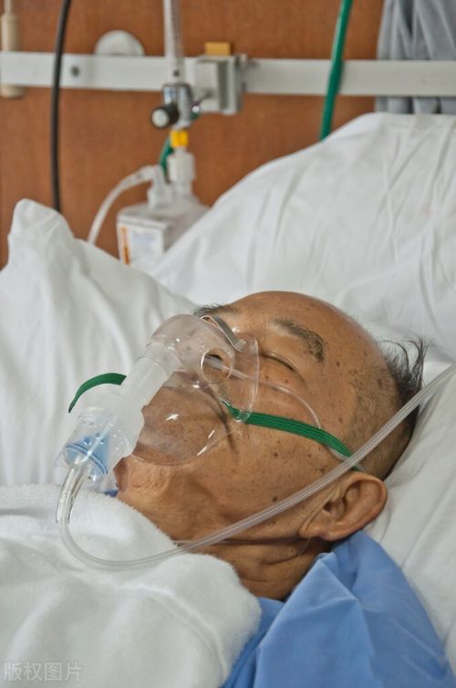 网上螃蟹女是什么意思 出自哪里的台词