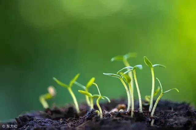 ����ʱ������ѧ�����Ǵ����� ��Է���˽���